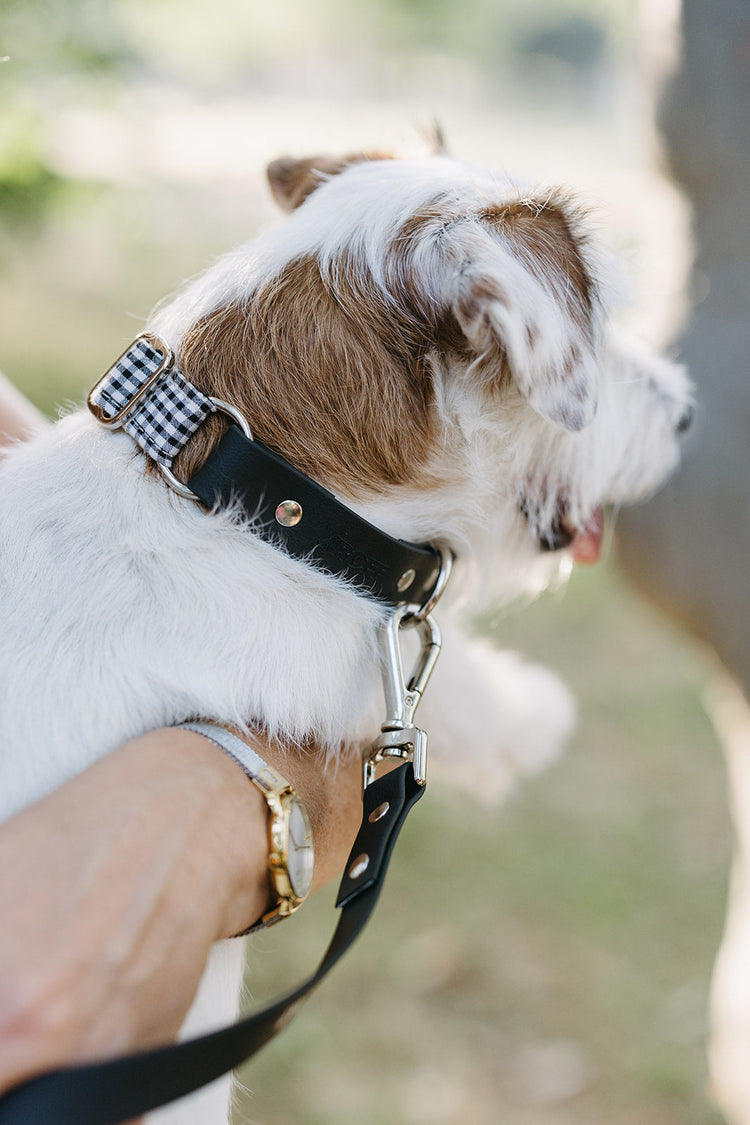 Collares regulables