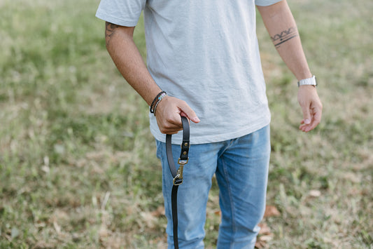 Correa Multiposición TPU Negra 3 m para Perro | Roffpet