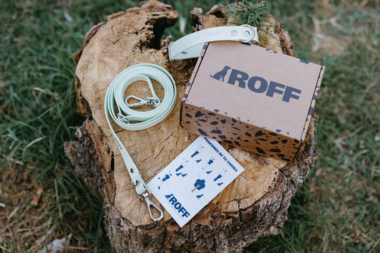 Set Aura Urban Turquesa – Correa multiposición y Collar | Roffpet